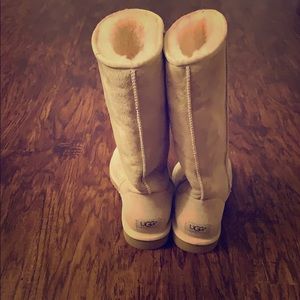 NWOT Classic Tall Uggs in Sand color
